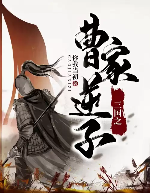 穿越到三国的小说陈杨　三国兵临天下孙策-第1张