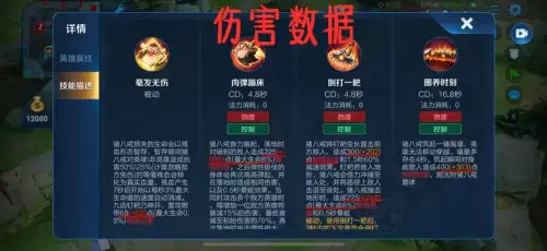 猪八戒怎么出装　猪八戒王者荣耀出装-第25张