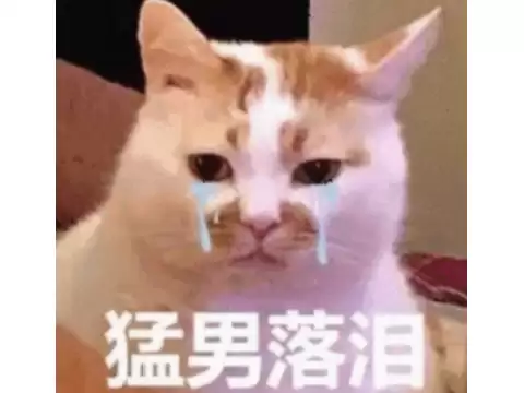 死神vs火影10　死神vs火影最全人物-第8张