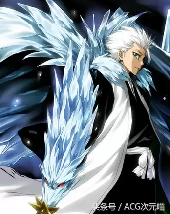 死神冬狮郎结局　死神日番谷冬狮郎结局-第5张