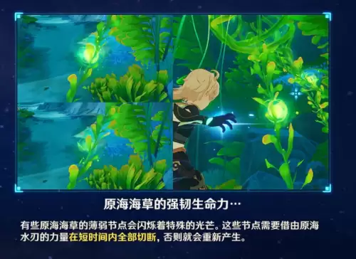 原神温泉在哪看　原神怎么进入水底世界-第19张