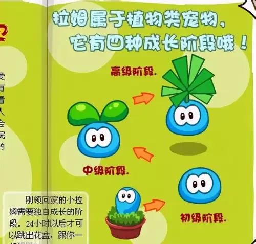 摩尔庄园小小魔术师第一关　摩尔庄园骰子第15集-第5张