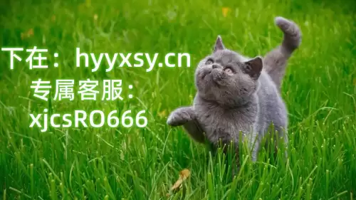 梦想世界3d手游什么职业好　梦想世界3手游职业选择-第4张
