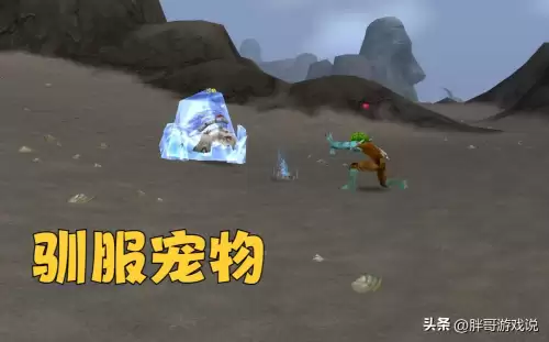 wow兽王猎可以出战几个宠物　无主之地3兽王带什么宠物-第1张