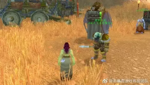 魔兽世界部落10级去哪升级　魔兽怀旧服50级到60哪里练级-第2张