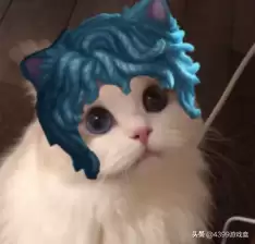 第五人格是端游的什么　PC端游戏排行-第7张