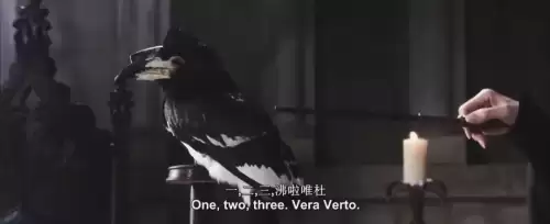 哈利波特手游咒语大全　哈利波特咒语大全-第11张
