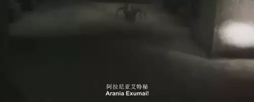 哈利波特手游咒语大全　哈利波特咒语大全-第21张