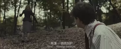 哈利波特手游咒语大全　哈利波特咒语大全-第47张