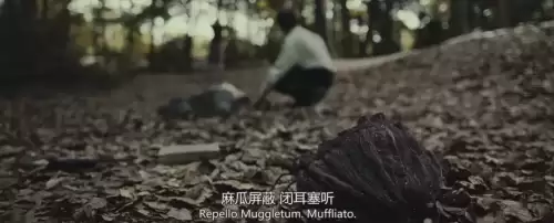 哈利波特手游咒语大全　哈利波特咒语大全-第48张