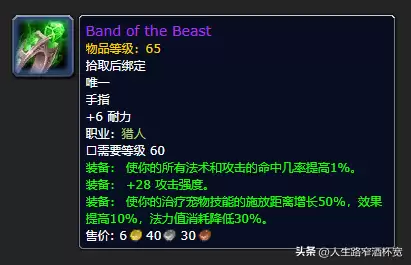 魔兽测试服装备怎么弄　wlk测试服的装备-第44张