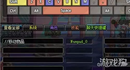 地下城一键捡东西　DNF怎么设置快捷键-第2张