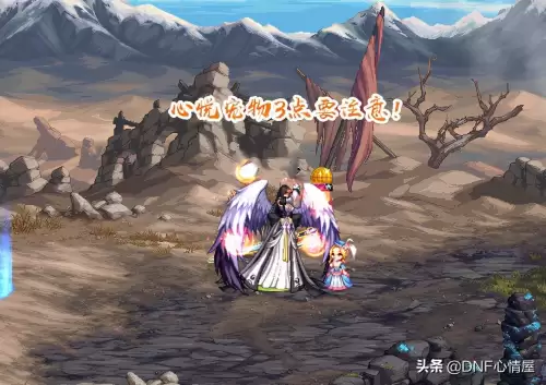 dnf600勇士币换的宠物属性　12个宠物一览-第6张