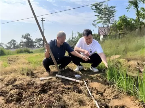 逗小猴开心系列596攻略　开心的小猴子-第3张