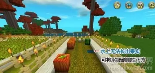 手机版新迷你世界怎么种植　迷你世界如何种植-第2张
