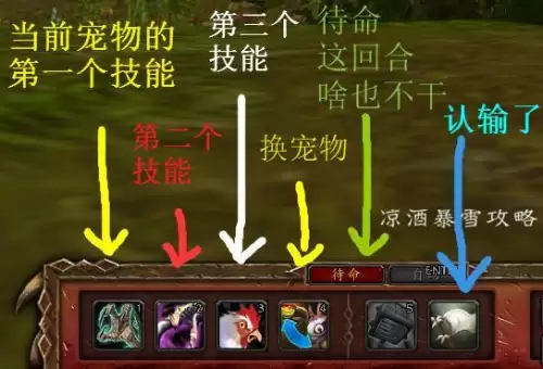 魔兽世界战斗宠物怎么攻击　魔兽世界怎么宠物对战-第6张