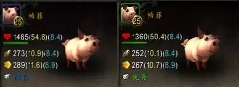 魔兽世界战斗宠物怎么攻击　魔兽世界怎么宠物对战-第10张