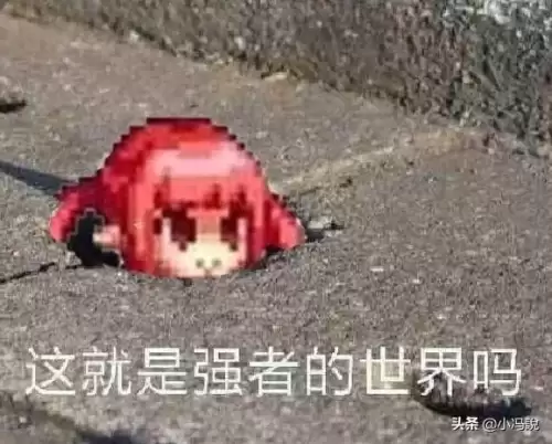 dnf鸟背装备怎么升级超界　鸟背装备可以升级100级装备吗-第3张