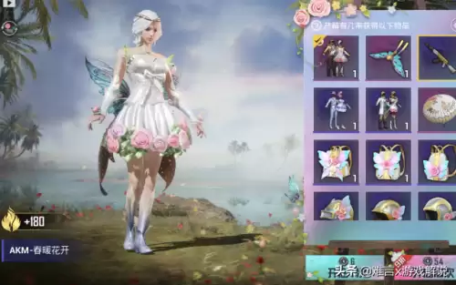 测试服和平精英　测试服下载安装-第1张