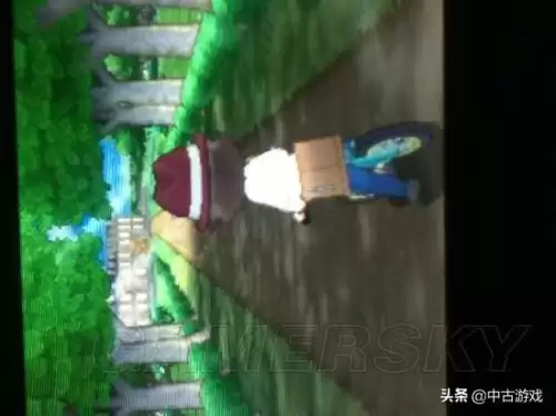 神奇宝贝绿宝石在哪玩　口袋妖怪绿宝石pc版-第101张