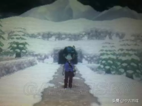神奇宝贝绿宝石在哪玩　口袋妖怪绿宝石pc版-第117张