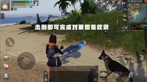 明日之后的收藏图鉴在哪里查看　明日之后图鉴大全-第6张