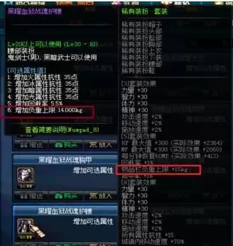 dnf物品栏不足装备消失　DNF物品栏-第14张