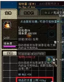 dnf物品栏不足装备消失　DNF物品栏-第12张