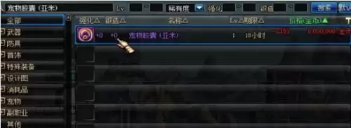 dnf物品栏不足装备消失　DNF物品栏-第13张