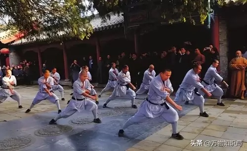 功夫少林1　少林功夫小子电影-第22张