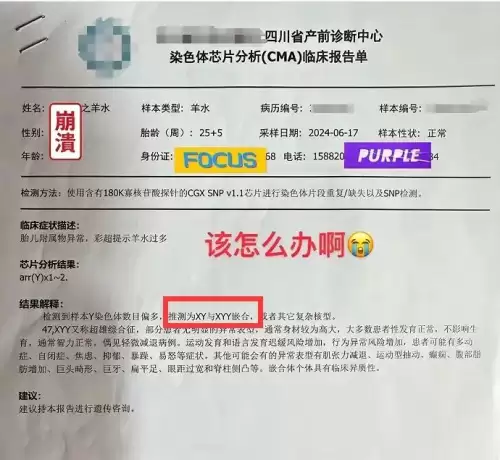 三国志12劝告成功的条件　三国志13个人资金增加-第2张