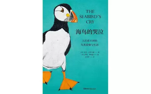 洛克王国幽灵叽叽进化图　洛克王国小玲鹿的进化-第1张