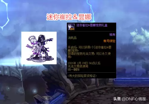 dnf希洛克攻坚战宠物　DNF希洛克-第4张