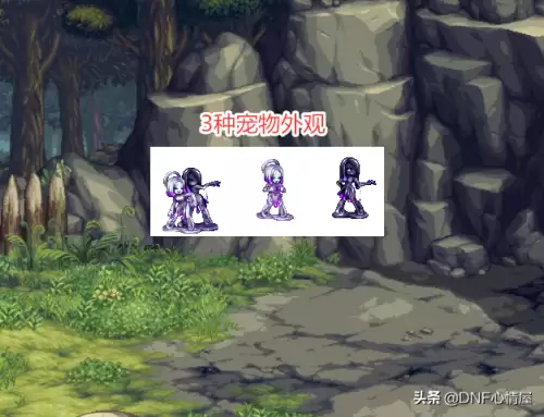 dnf希洛克攻坚战宠物　DNF希洛克-第6张