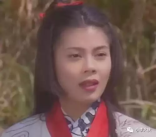 九阴真经1993国语版3　《九阴真经》-第6张