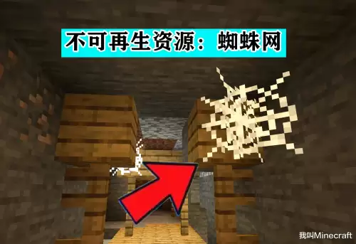 迷你世界地下矿石会再生吗　迷你世界有几种矿石-第5张