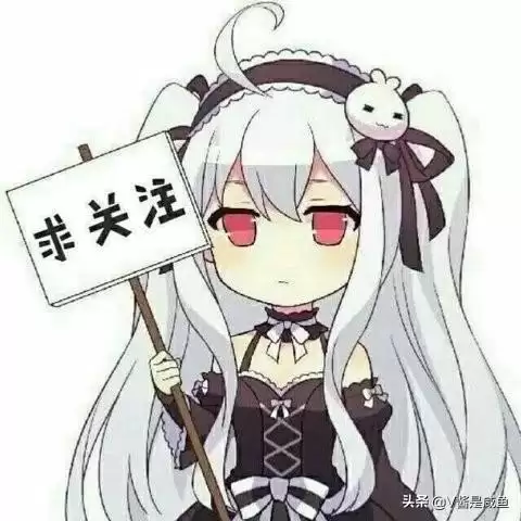 崩坏之舰长的命令是绝对的　崩坏三舰长设定-第9张