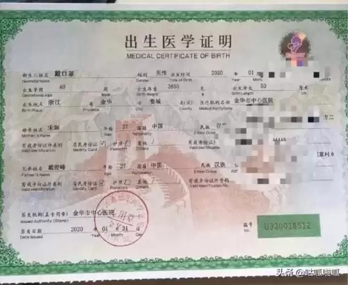 绝地求生未来之役怎么取名　绝地求生未来之役怎么玩-第1张