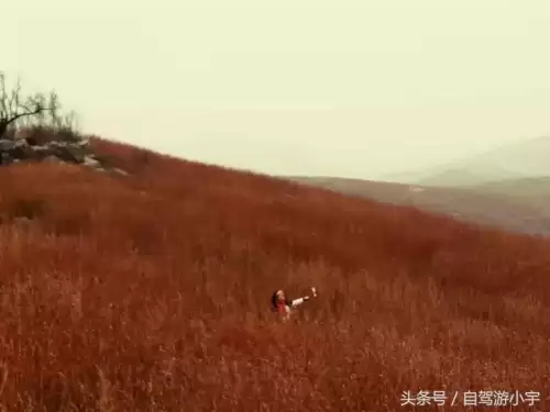 真封神山寨谷怎么去　真封神野外BOSS分布图-第4张