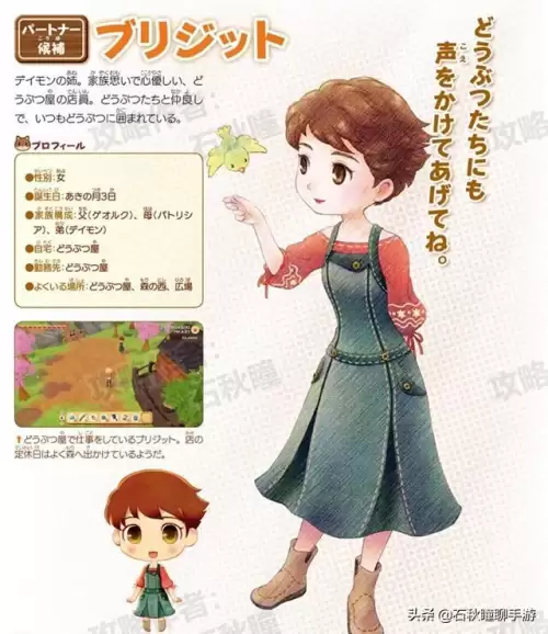 牧场物语攻略结婚　牧场物语结婚条件-第8张