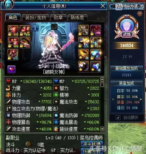 dnf帕拉丁物理还是独立　帕拉丁是物理百分比吗-第1张