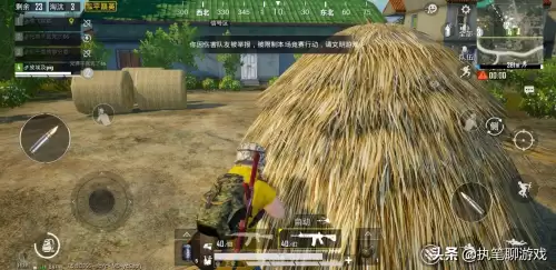 吃鸡kd10算厉害吗　王牌kd多少及格-第3张