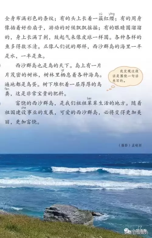 怪物猎人gu丸鸟粪怎么获得　剑喵丸鸟龙种的牙-第2张
