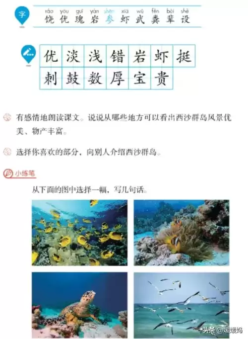 怪物猎人gu丸鸟粪怎么获得　剑喵丸鸟龙种的牙-第3张