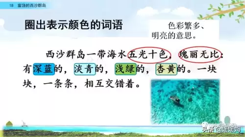 怪物猎人gu丸鸟粪怎么获得　剑喵丸鸟龙种的牙-第32张
