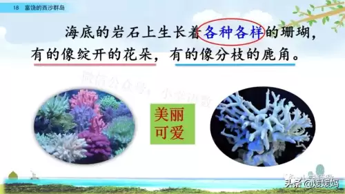 怪物猎人gu丸鸟粪怎么获得　剑喵丸鸟龙种的牙-第44张