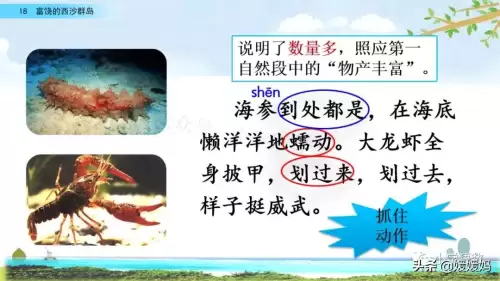 怪物猎人gu丸鸟粪怎么获得　剑喵丸鸟龙种的牙-第47张