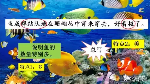 怪物猎人gu丸鸟粪怎么获得　剑喵丸鸟龙种的牙-第58张