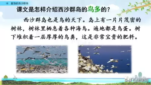 怪物猎人gu丸鸟粪怎么获得　剑喵丸鸟龙种的牙-第64张