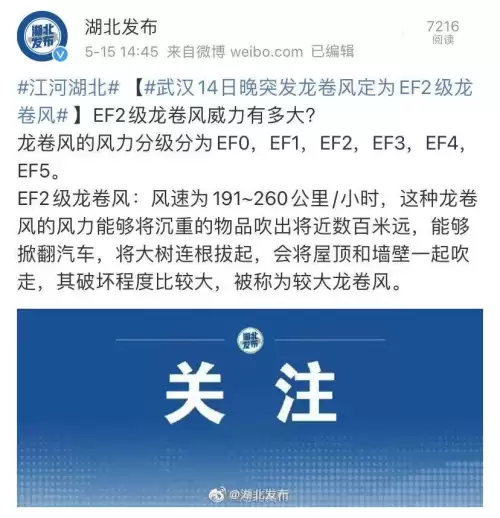 创星ef3和cf800哪个好　创星cf800出水小-第3张